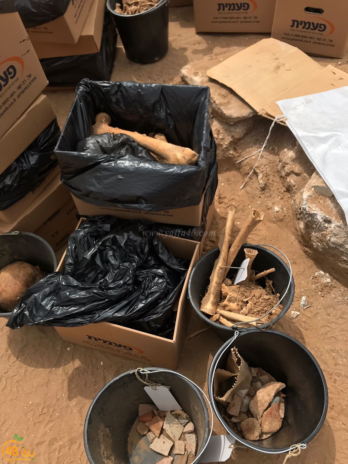 WhatsApp Image 2020-06-17 at 9.30.45 AM.jpeg.jpg.jpg